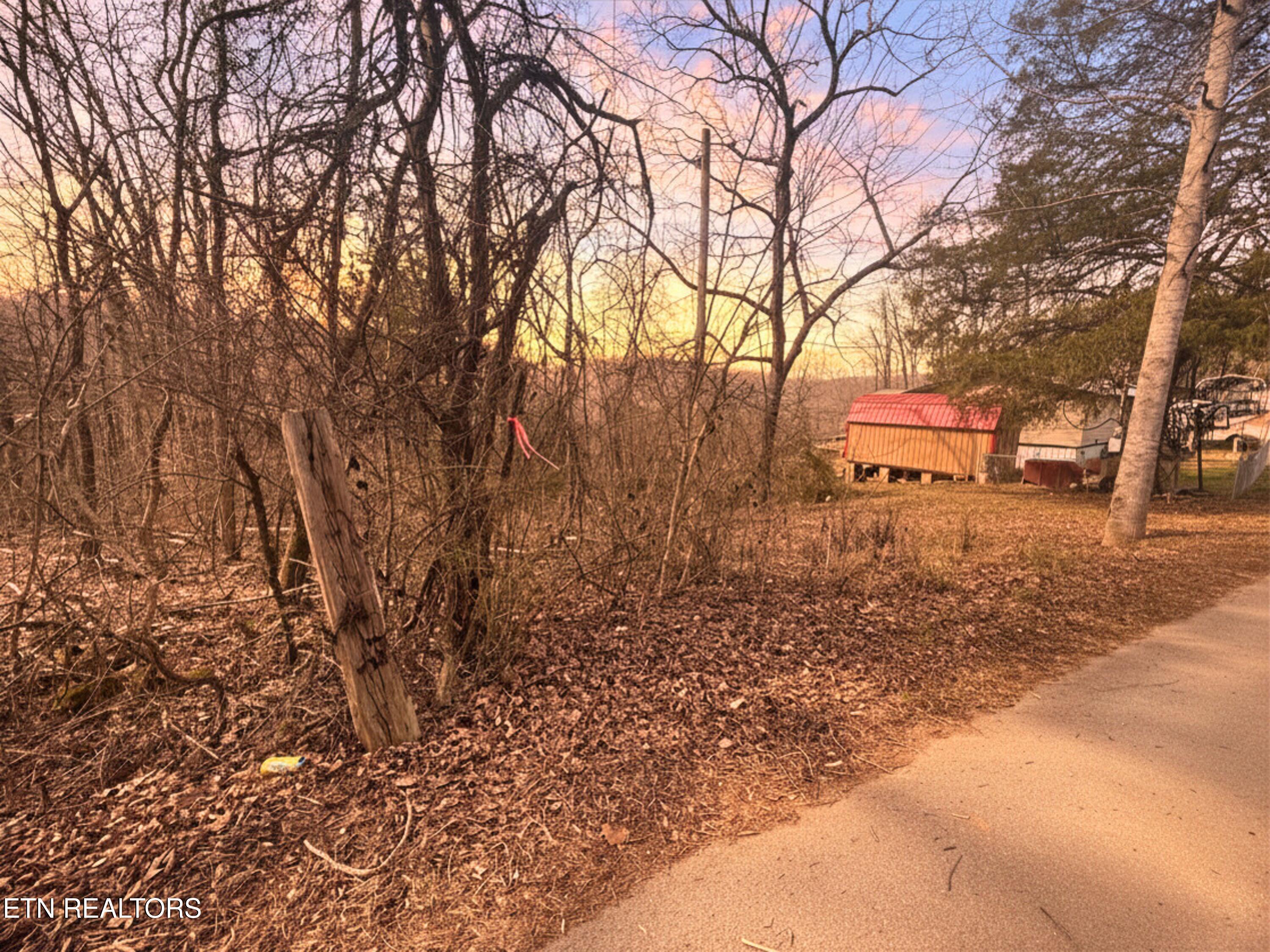 Straight Branch Road Speedwell, TN 37870 - Photo 5 of 15 6