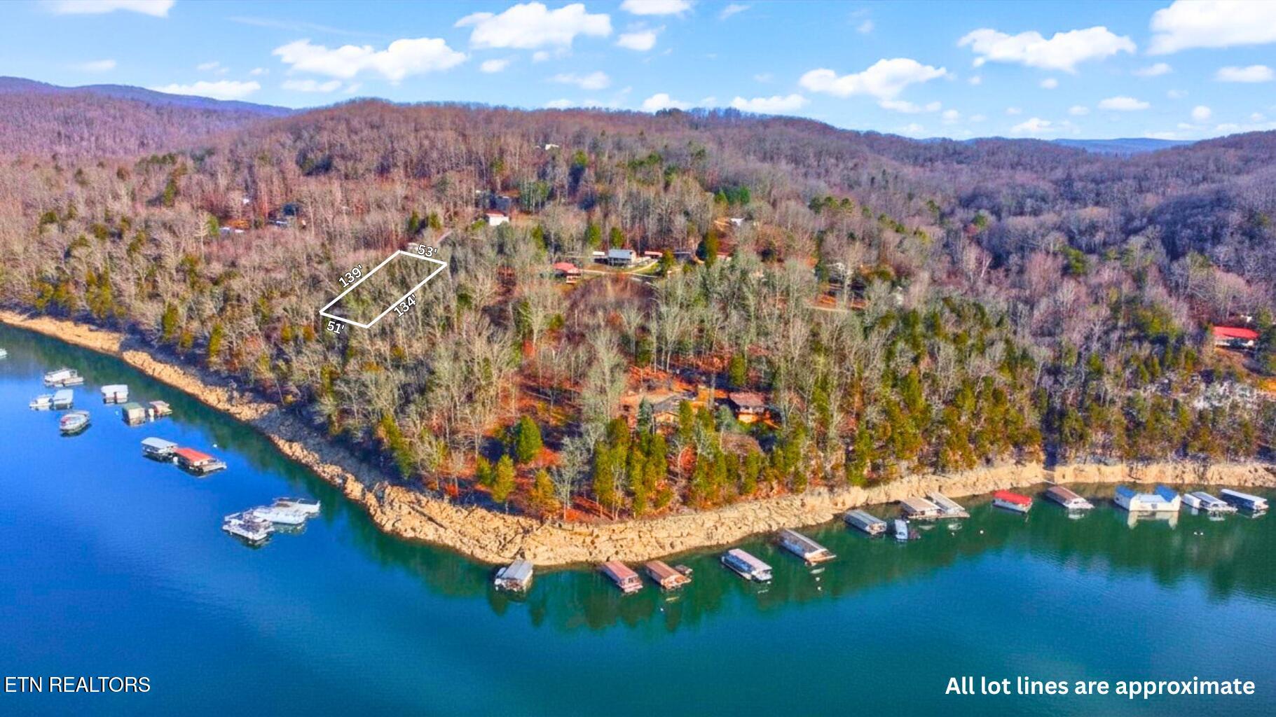 Straight Branch Road Speedwell, TN 37870 - Photo 9 of 15 Lot Lines Approximate