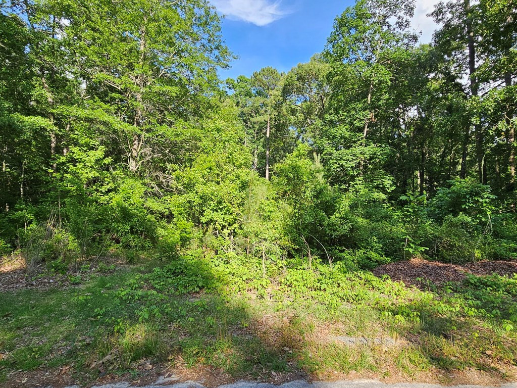Tbd Stukes Road Summerton, SC 29148 - Photo 2 of 20