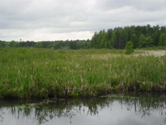 On Thunder Bay Road Tomahawk, WI 54487 - Photo 7 of 19 Gallery Image 7