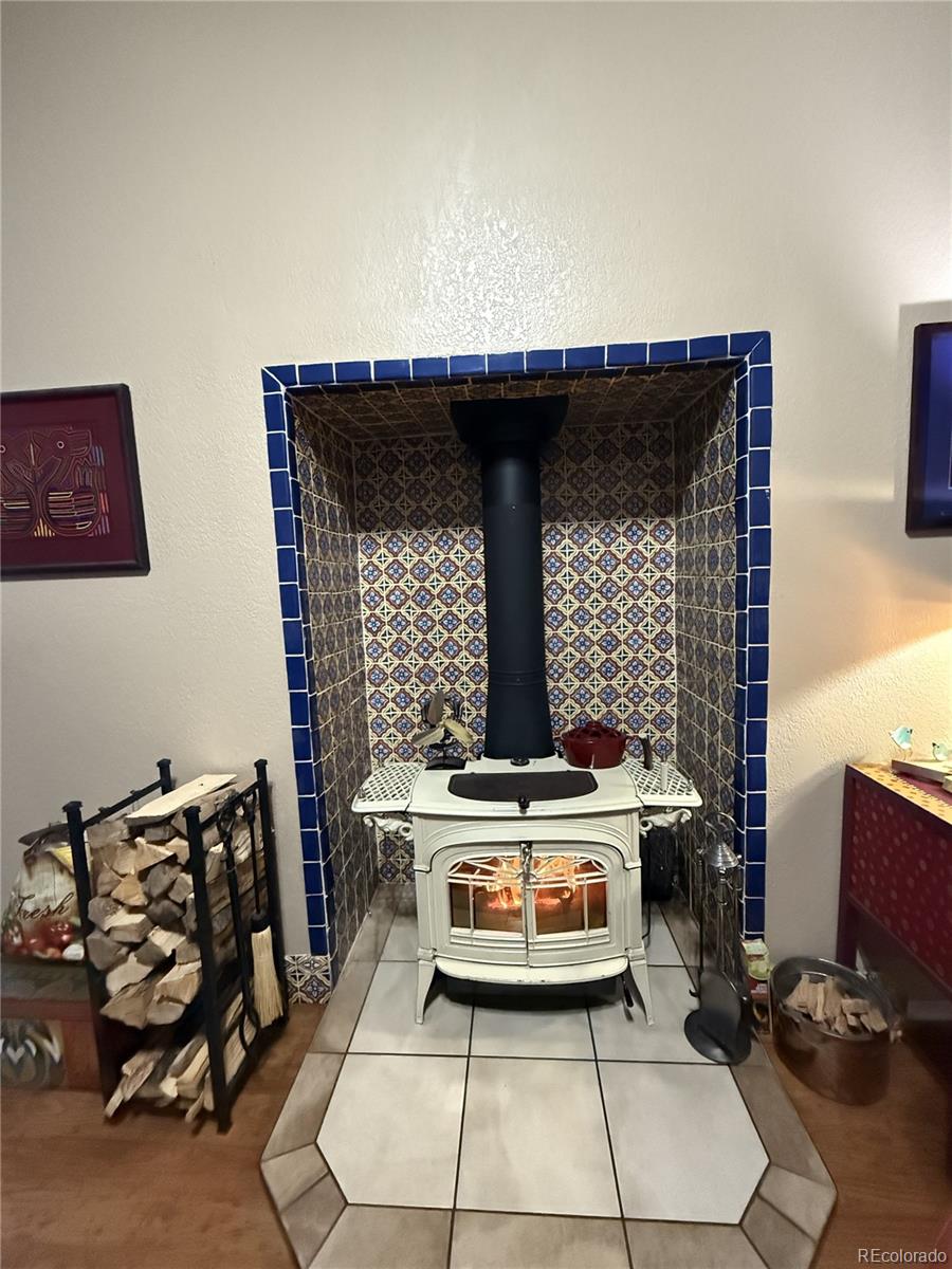 3818 Fontaine Road Fort Garland, CO 81133 - Photo 11 of 50