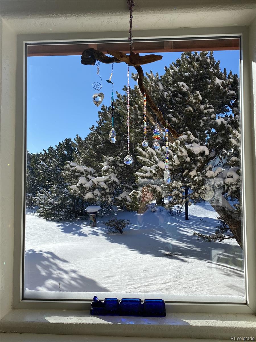 3818 Fontaine Road Fort Garland, CO 81133 - Photo 13 of 50