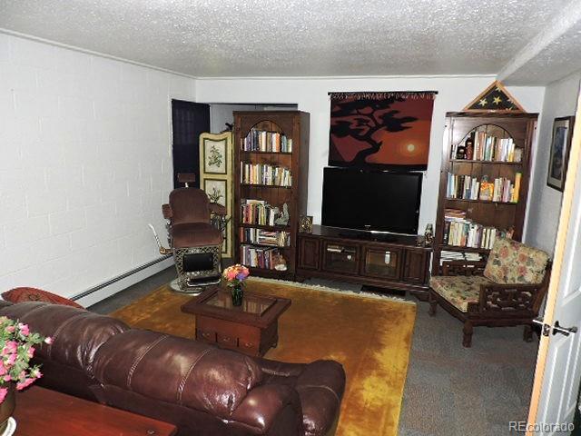 3818 Fontaine Road Fort Garland, CO 81133 - Photo 24 of 50 a living room with furniture a flat screen tv and a bookshelf