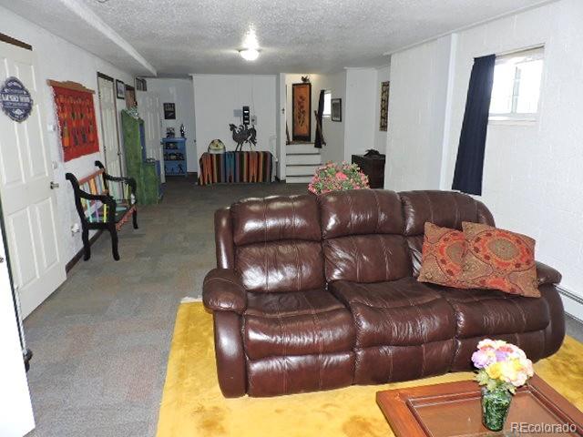 3818 Fontaine Road Fort Garland, CO 81133 - Photo 25 of 50 a living room with furniture and a couch