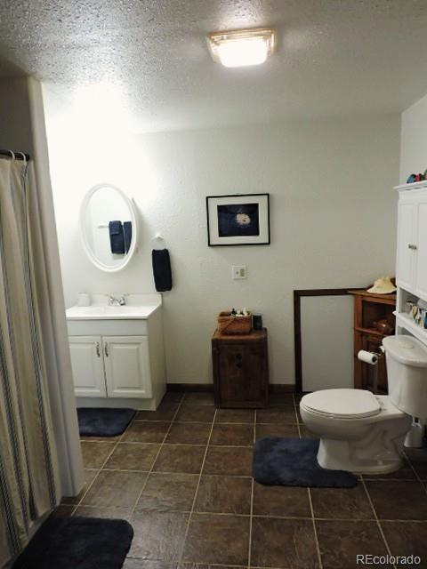 3818 Fontaine Road Fort Garland, CO 81133 - Photo 28 of 50 a bathroom with a toilet a sink and mirror