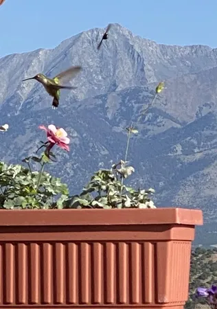 $529,000 | 3818 Fontaine Road, Fort Garland, CO 81133