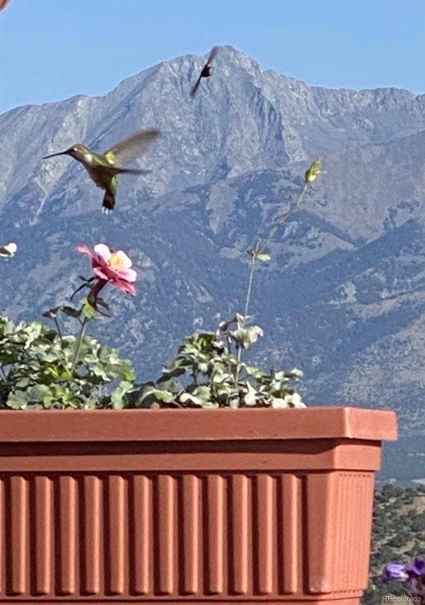 3818 Fontaine Road Fort Garland, CO 81133 - Photo 49 of 50
