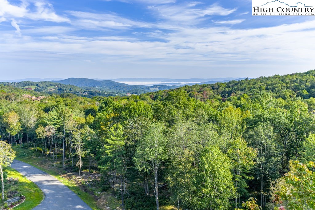 Es49 Rippling Waters Trail Banner Elk, NC 28604 - Photo 11 of 43