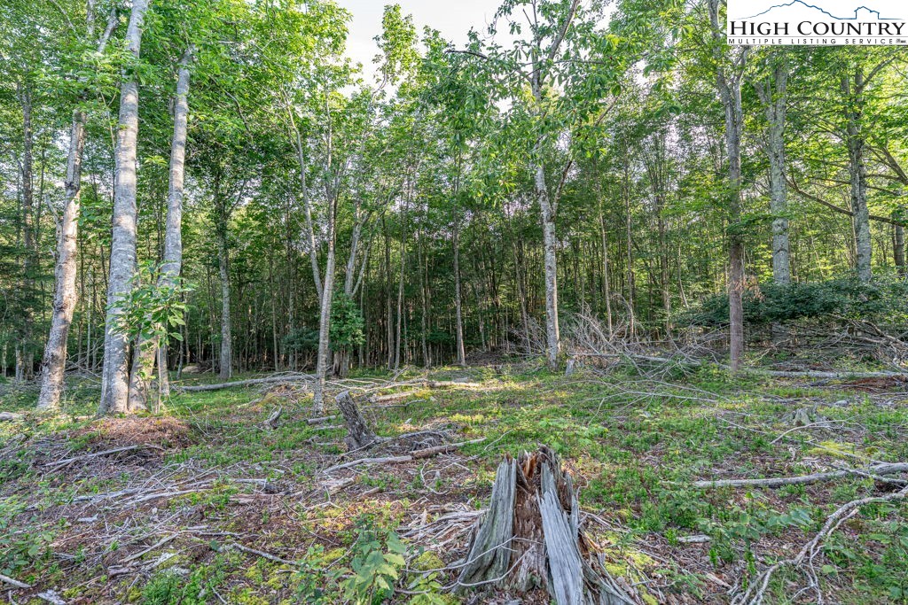 Es49 Rippling Waters Trail Banner Elk, NC 28604 - Photo 2 of 43