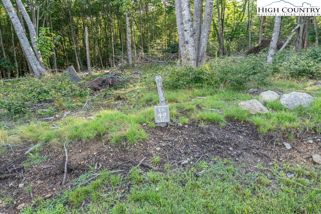 Es49 Rippling Waters Trail Banner Elk, NC 28604 - Photo 3 of 43