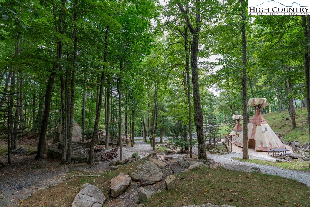 Es49 Rippling Waters Trail Banner Elk, NC 28604 - Photo 33 of 43