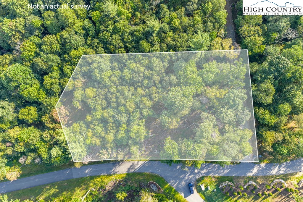 Es49 Rippling Waters Trail Banner Elk, NC 28604 - Photo 4 of 43