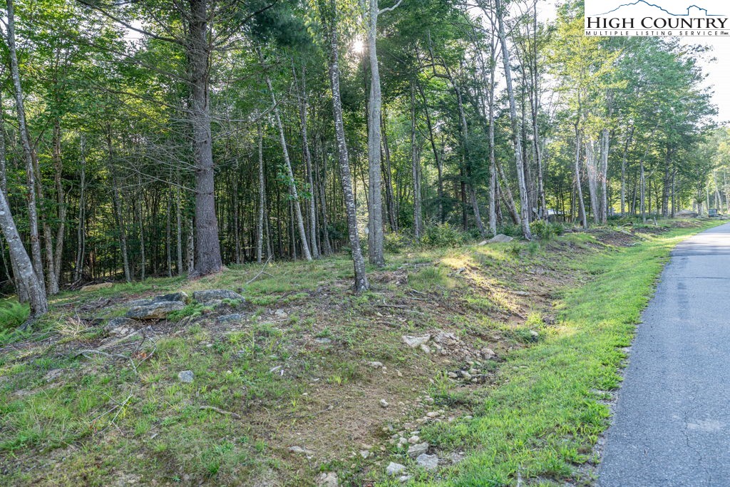 Es49 Rippling Waters Trail Banner Elk, NC 28604 - Photo 5 of 43