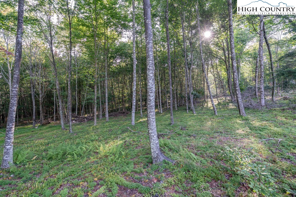 Es49 Rippling Waters Trail Banner Elk, NC 28604 - Photo 6 of 43