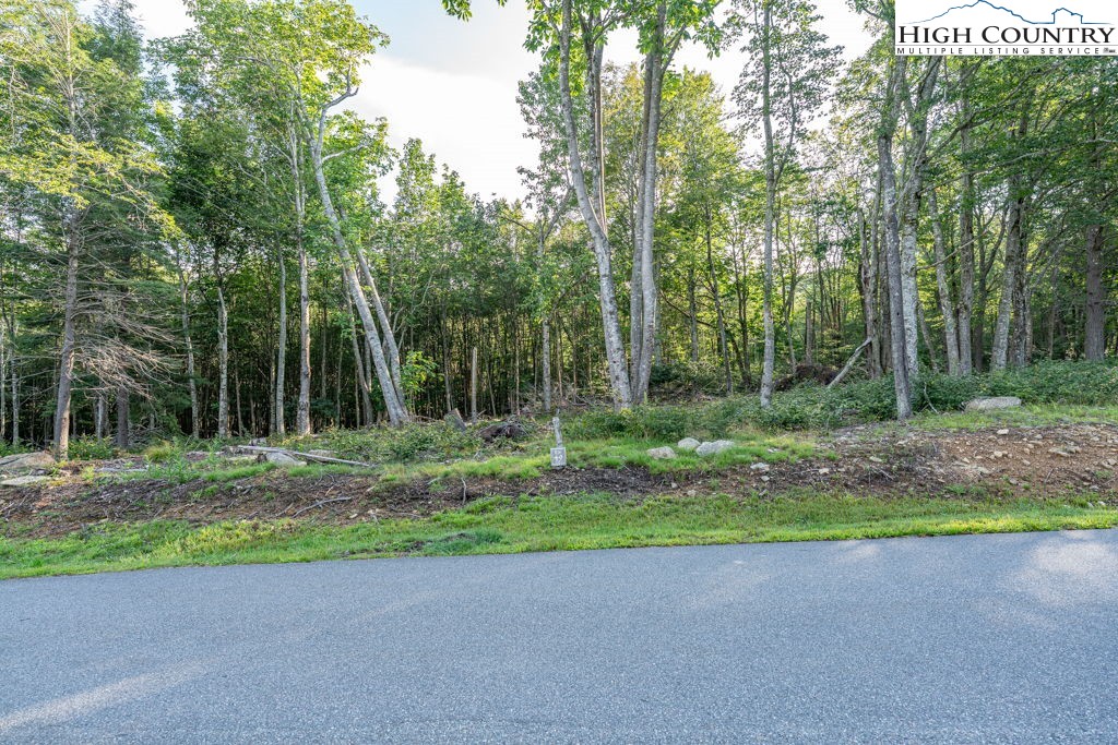 Es49 Rippling Waters Trail Banner Elk, NC 28604 - Photo 7 of 43