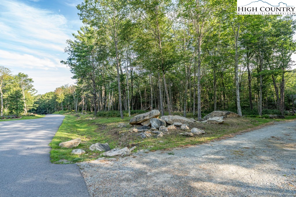 Es49 Rippling Waters Trail Banner Elk, NC 28604 - Photo 8 of 43