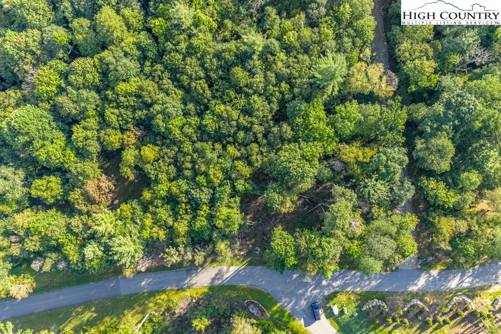 Es49 Rippling Waters Trail Banner Elk, NC 28604 - Photo 9 of 43