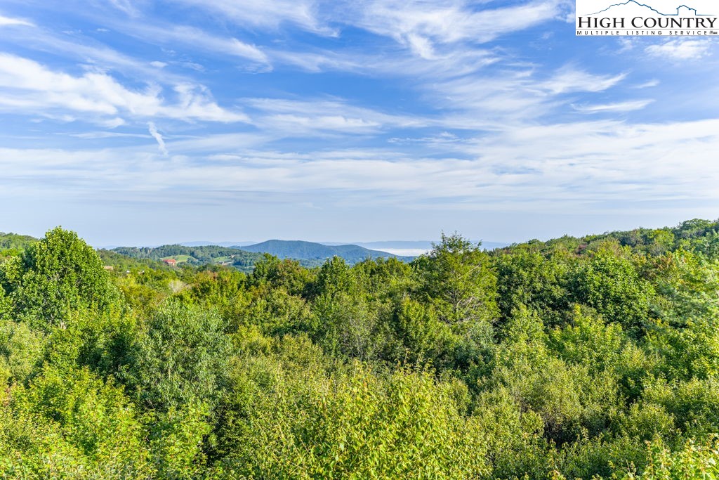 Es49 Rippling Waters Trail Banner Elk, NC 28604 - Photo 10 of 43