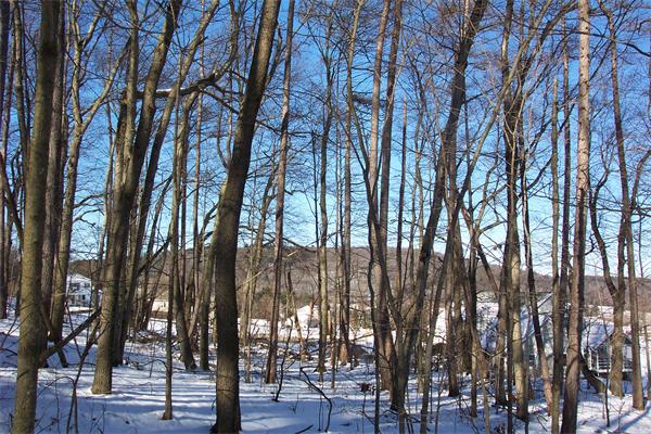 0 Huntington Road Hadley, MA 01035 - Photo 4 of 11 Gallery Image 4