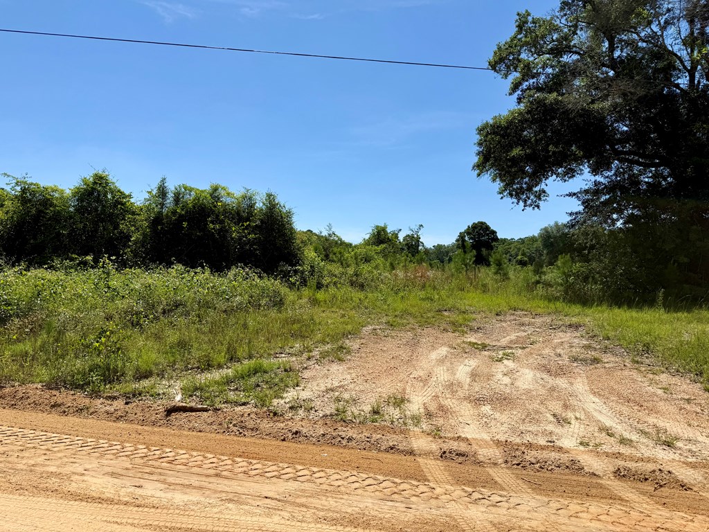 60-acres Hutton Road Hartford, AL 36344 - Photo 3 of 31