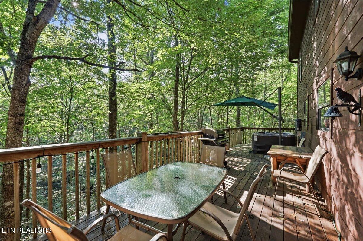 739 Stonegate Way Townsend, TN 37882 - Photo 42 of 49 42-043_1I2A2604