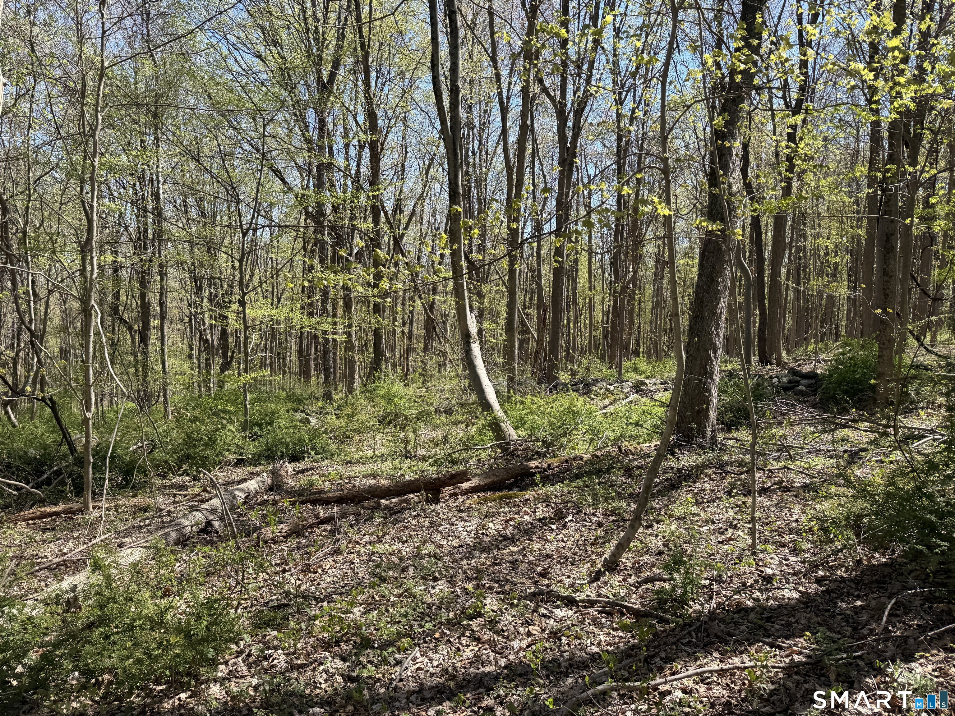 163 Clapboard Ridge Road Danbury, CT 06811 - Photo 7 of 21