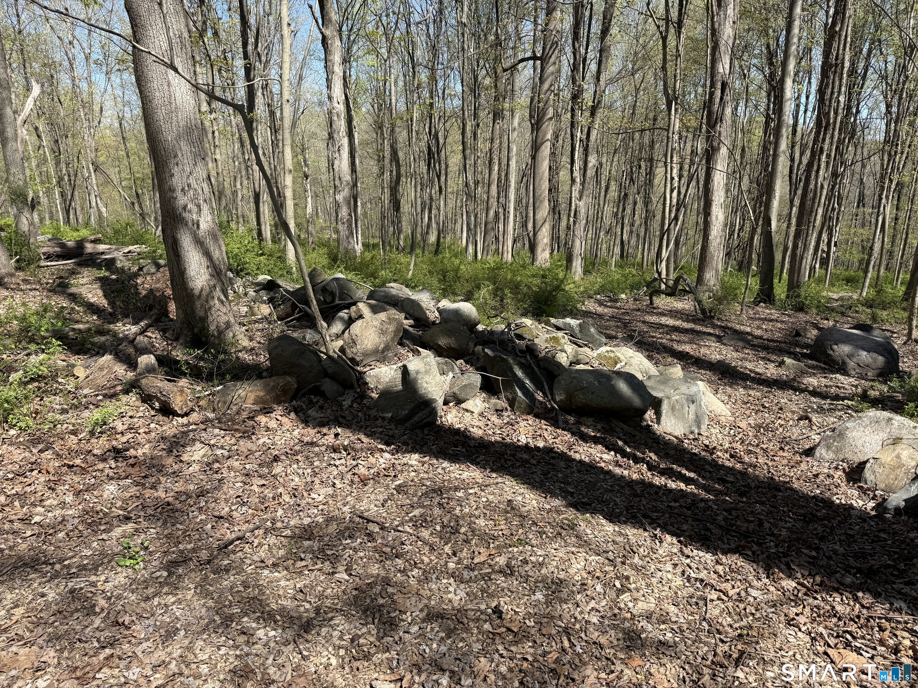 163 Clapboard Ridge Road Danbury, CT 06811 - Photo 8 of 21
