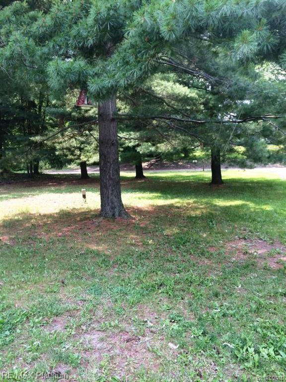 6274 Byron Road Howell, MI 48855 - Photo 6 of 6