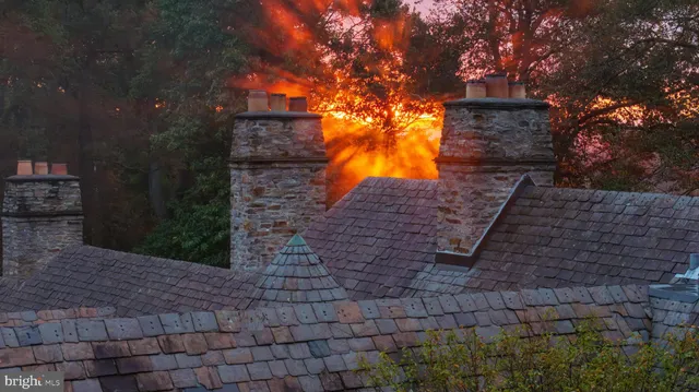 a vase of flowers sitting on a table