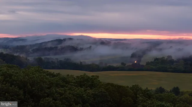 a aerial view of a house with a yard and potted plants