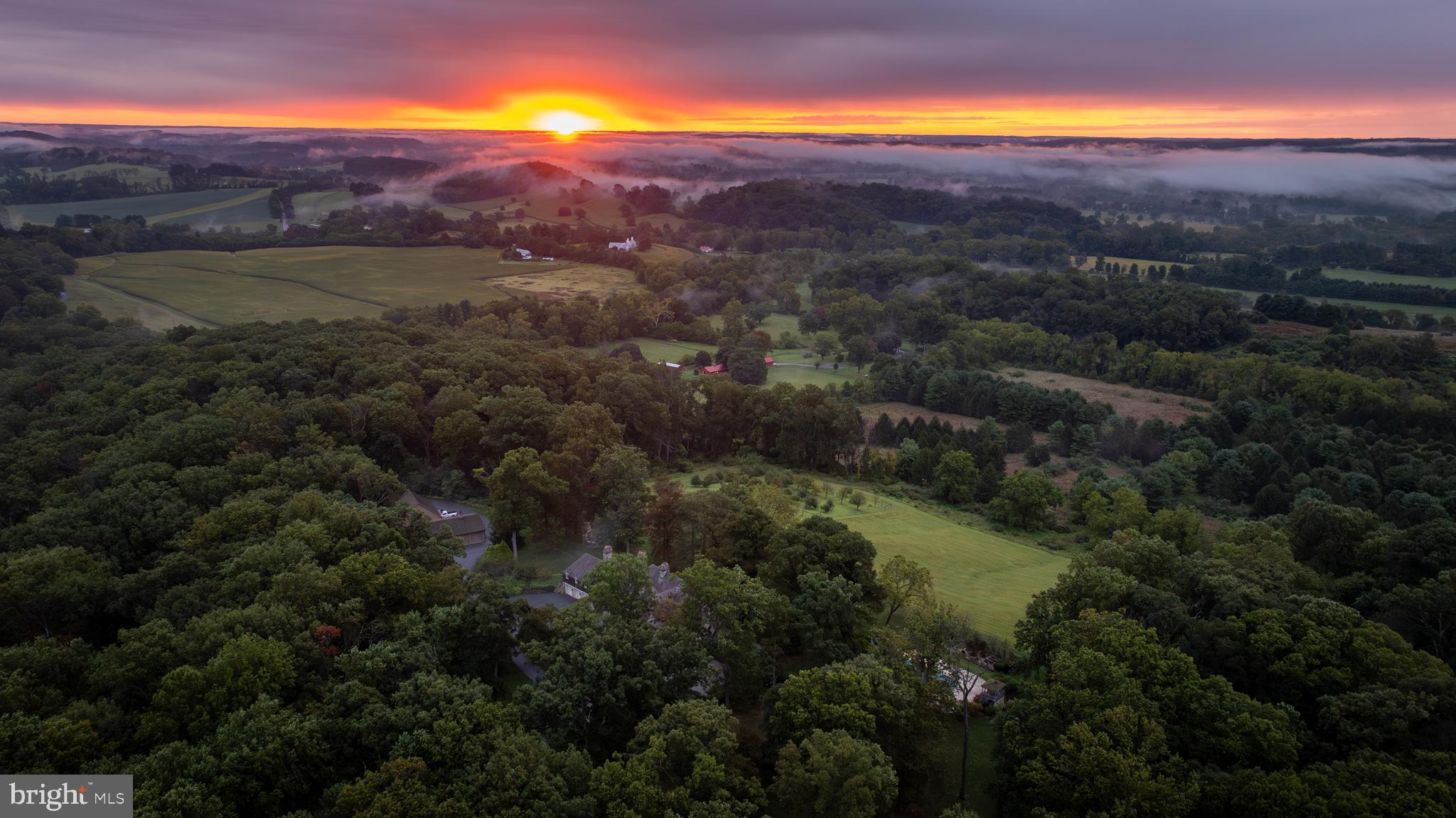 3600 Butler Road Glyndon, MD 21136 - Photo 28 of 99 a view of a lush green forest with lots of trees