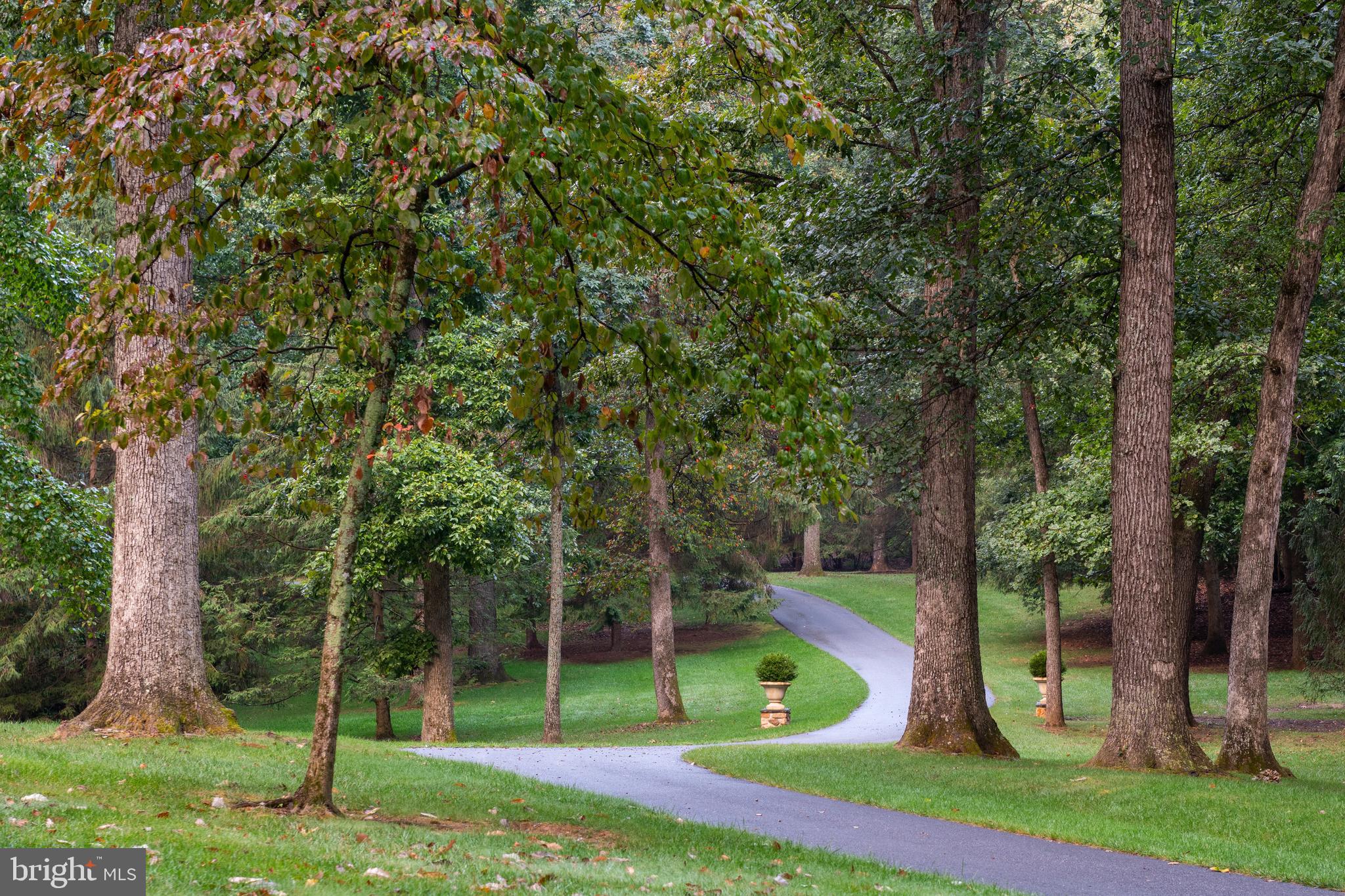 3600 Butler Road Glyndon, MD 21136 - Photo 52 of 99 a view of a park with large trees