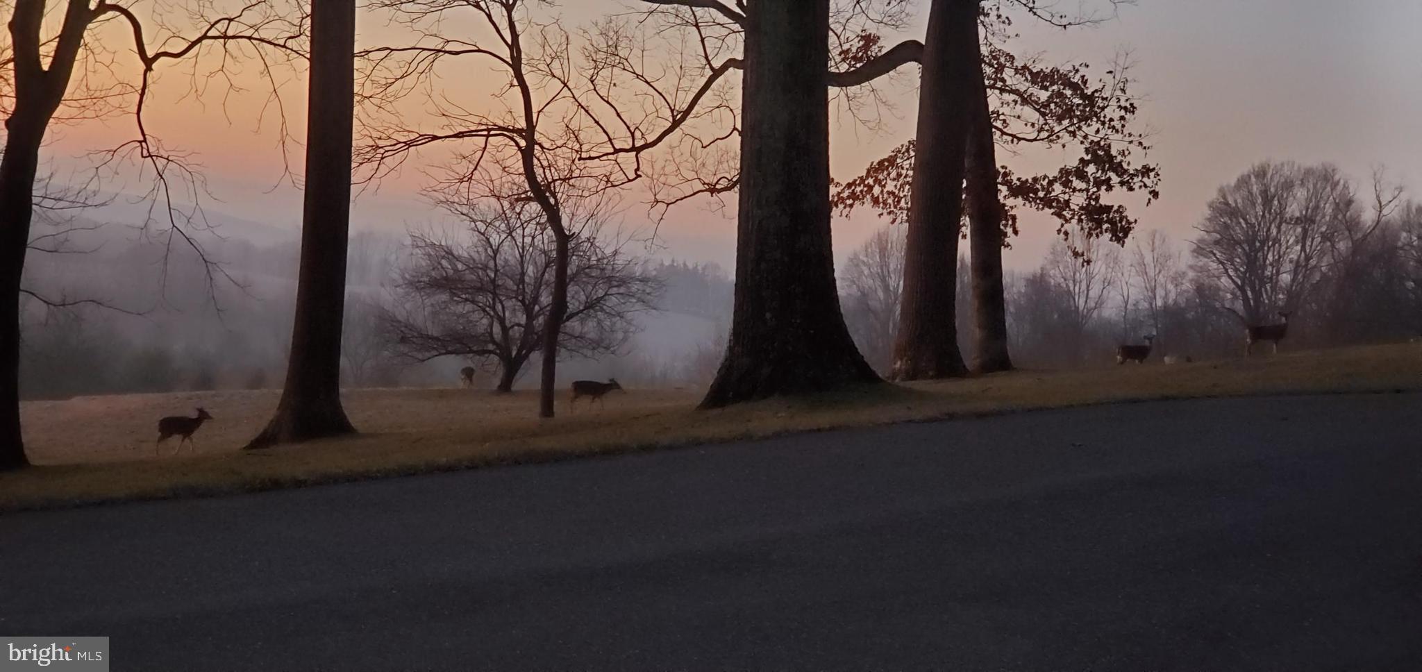 3600 Butler Road Glyndon, MD 21136 - Photo 73 of 99 a view of a backyard of the house
