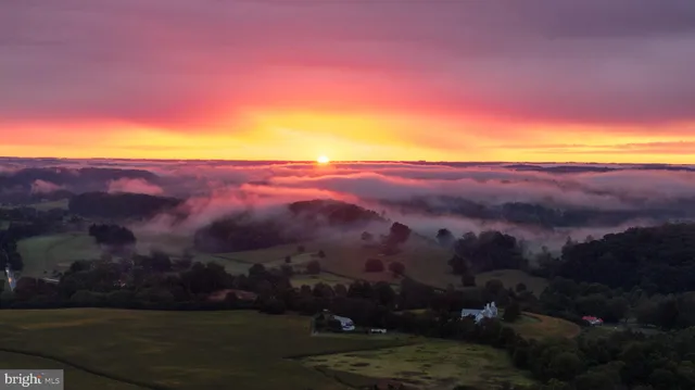 a room with lots of furniture and a potted plant