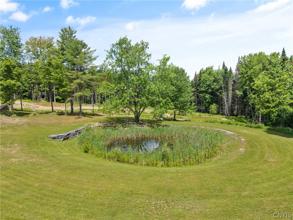 321 Roberts Road Russia, NY 13324 - Photo 39 of 48
