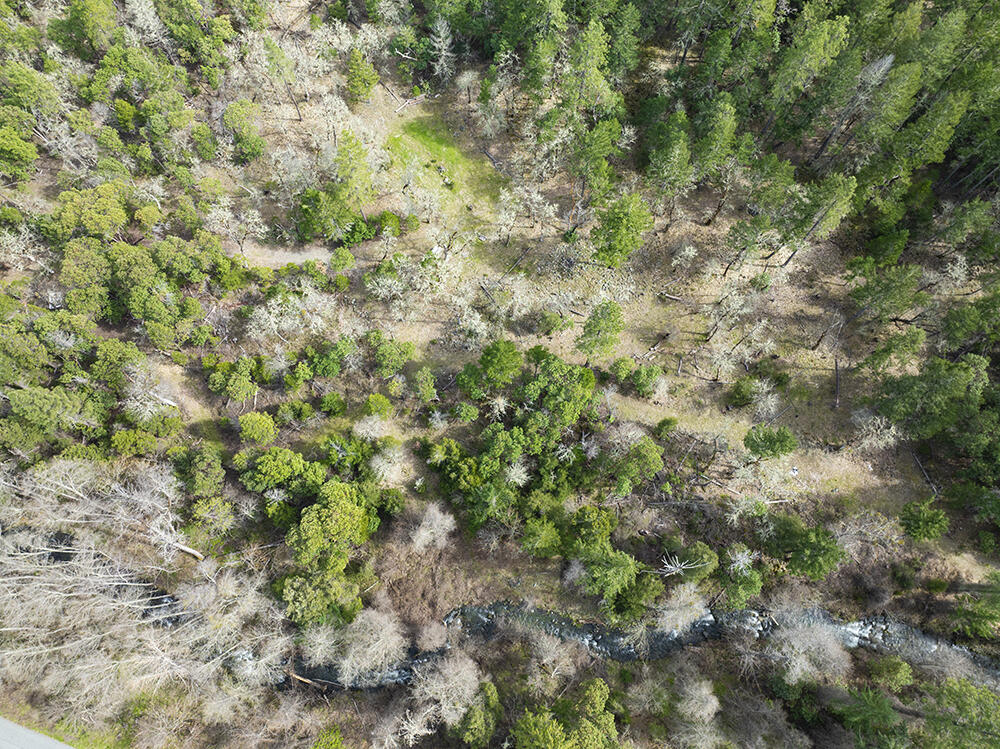 15150 Water Gap Road Williams, OR 97544 - Photo 47 of 53 52b