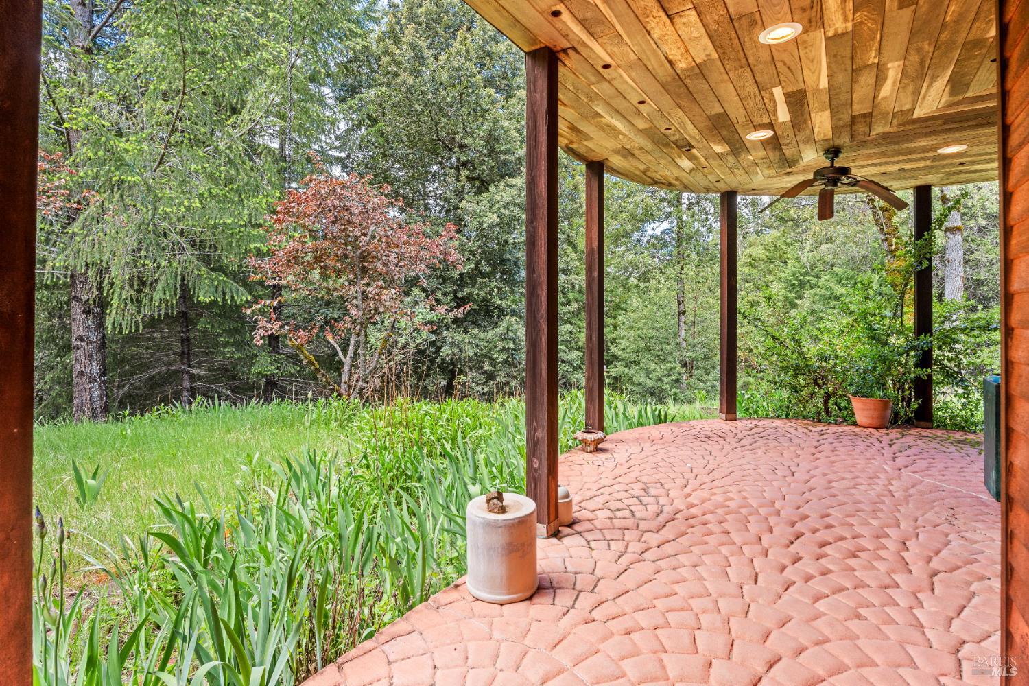 20475 Timber Road Willits, CA 95490 - Photo 26 of 38 a view of a backyard with garden