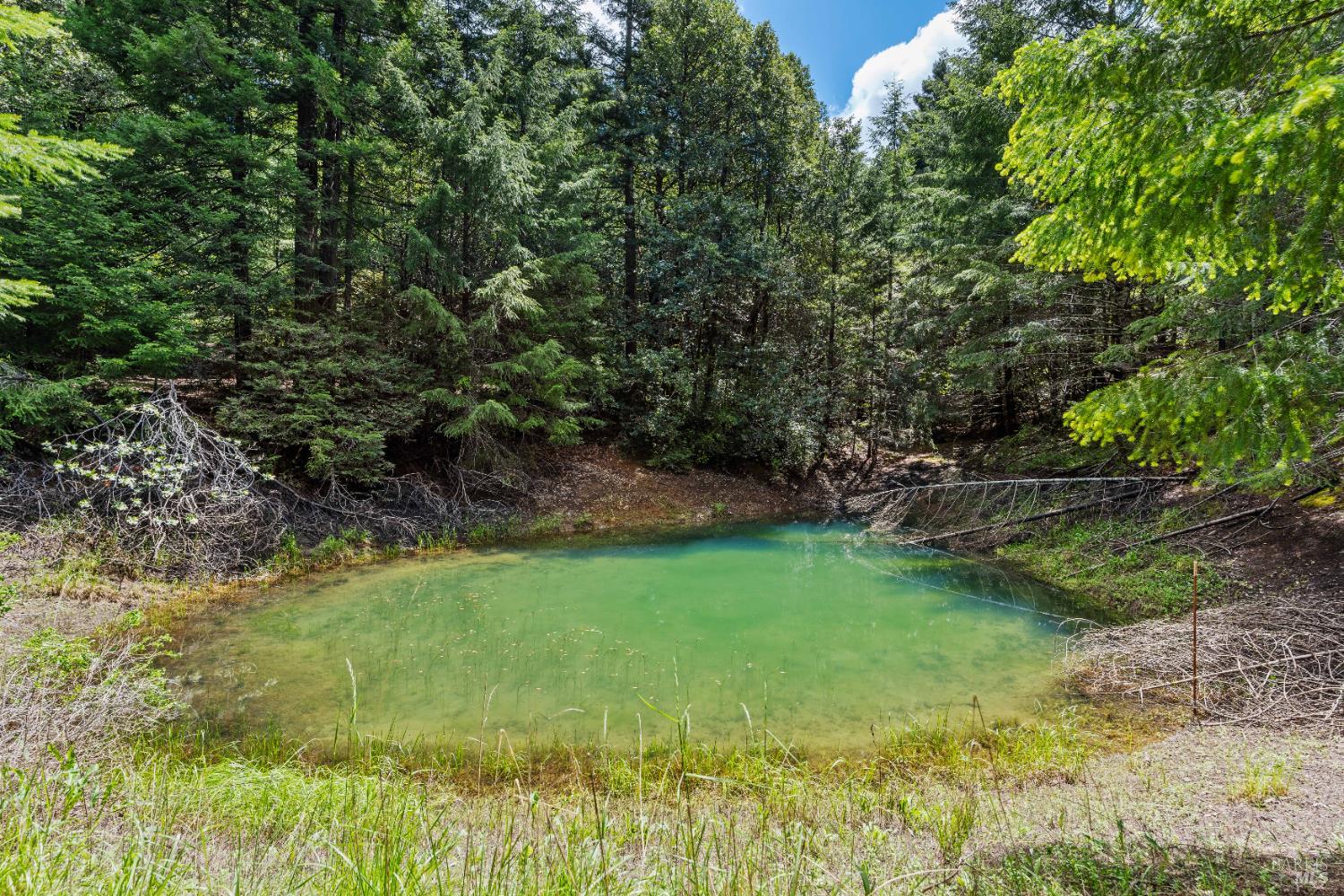 20475 Timber Road Willits, CA 95490 - Photo 33 of 38 a view of yard with green space