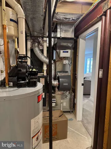 a view of a backyard with couches plants and large trees