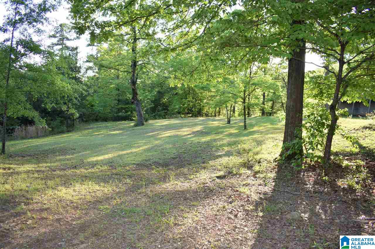 2877 Murphrees Valley Road Springville, AL 35146 - Photo 22 of 33 Gallery Image 22