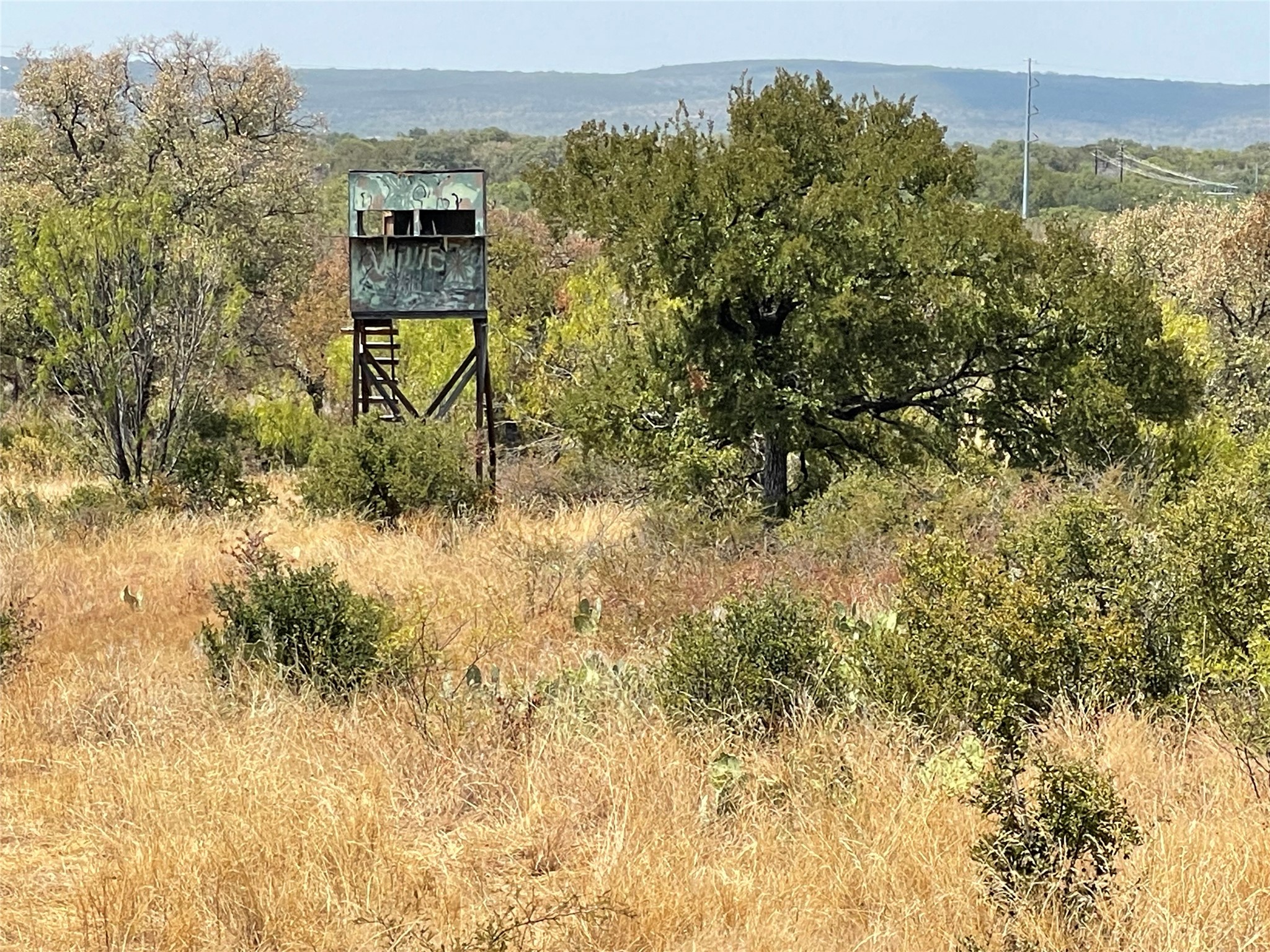 2939 Fm-2342 Road Burnet, TX 78611 - Photo 13 of 28 Wildlife stand