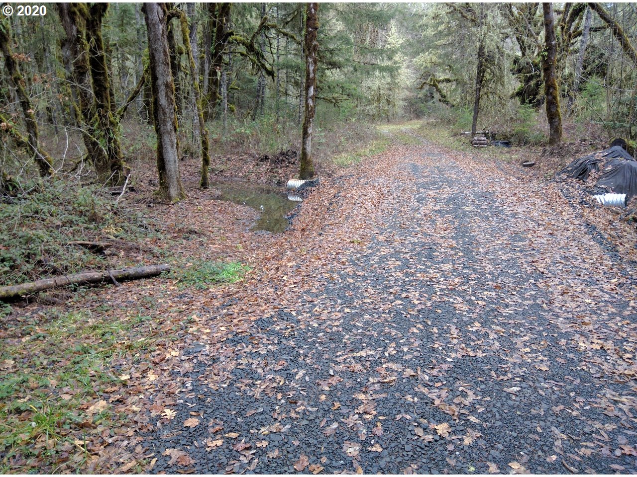 Carpenter Bypass Road, Unit 1000 Lorane, OR 97451 - Photo 1 of 11 Gallery Image 1
