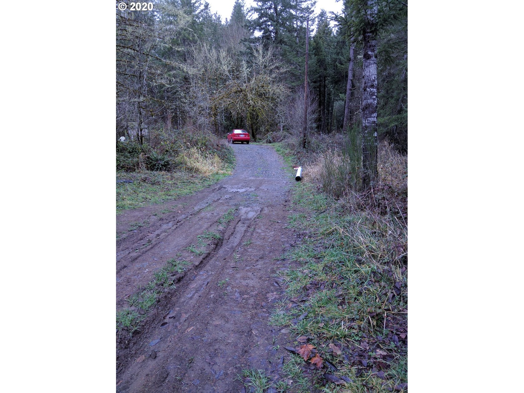 Carpenter Bypass Road, Unit 1000 Lorane, OR 97451 - Photo 2 of 11 Gallery Image 2