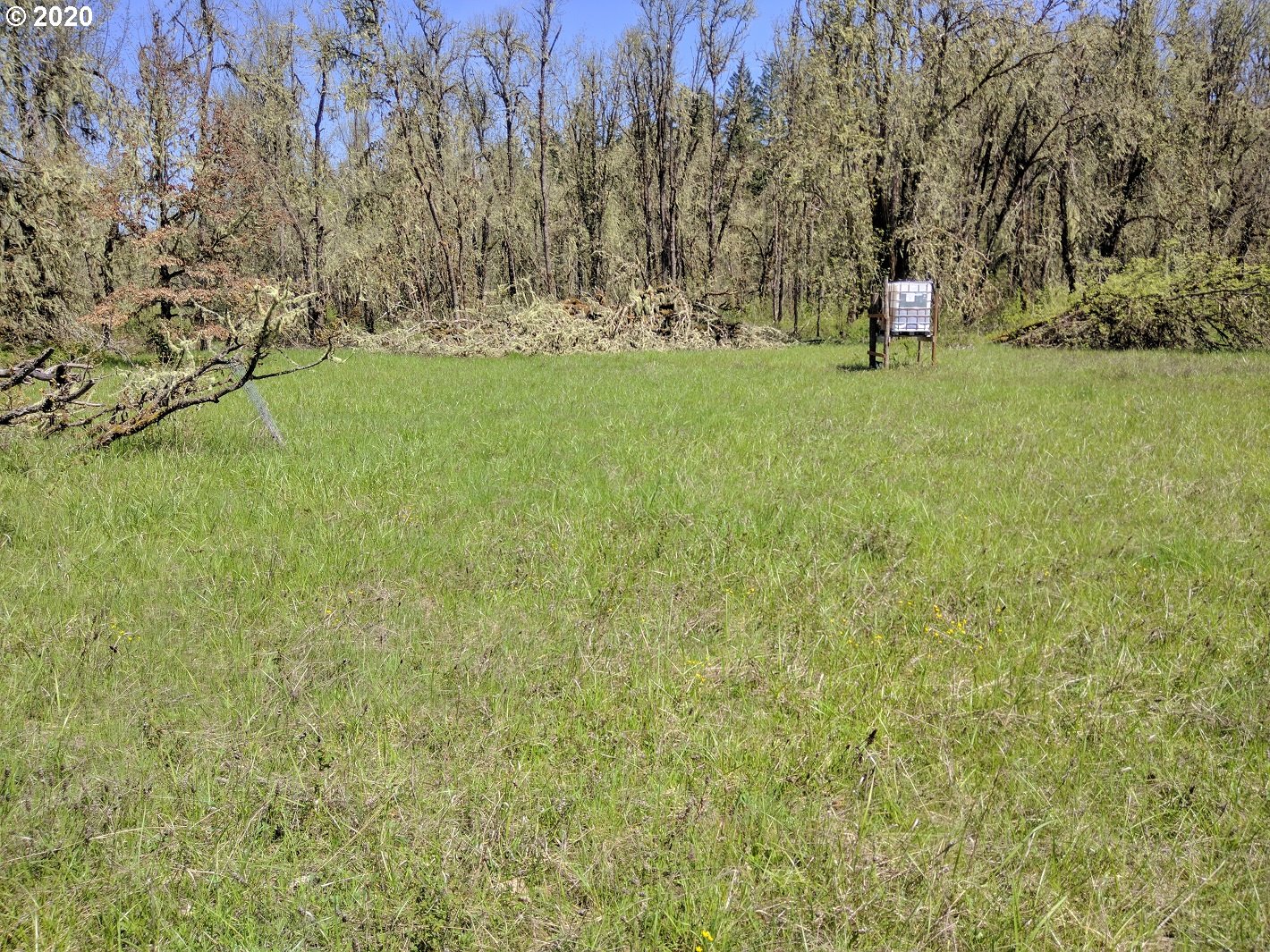 Carpenter Bypass Road, Unit 1000 Lorane, OR 97451 - Photo 11 of 11 Gallery Image 11