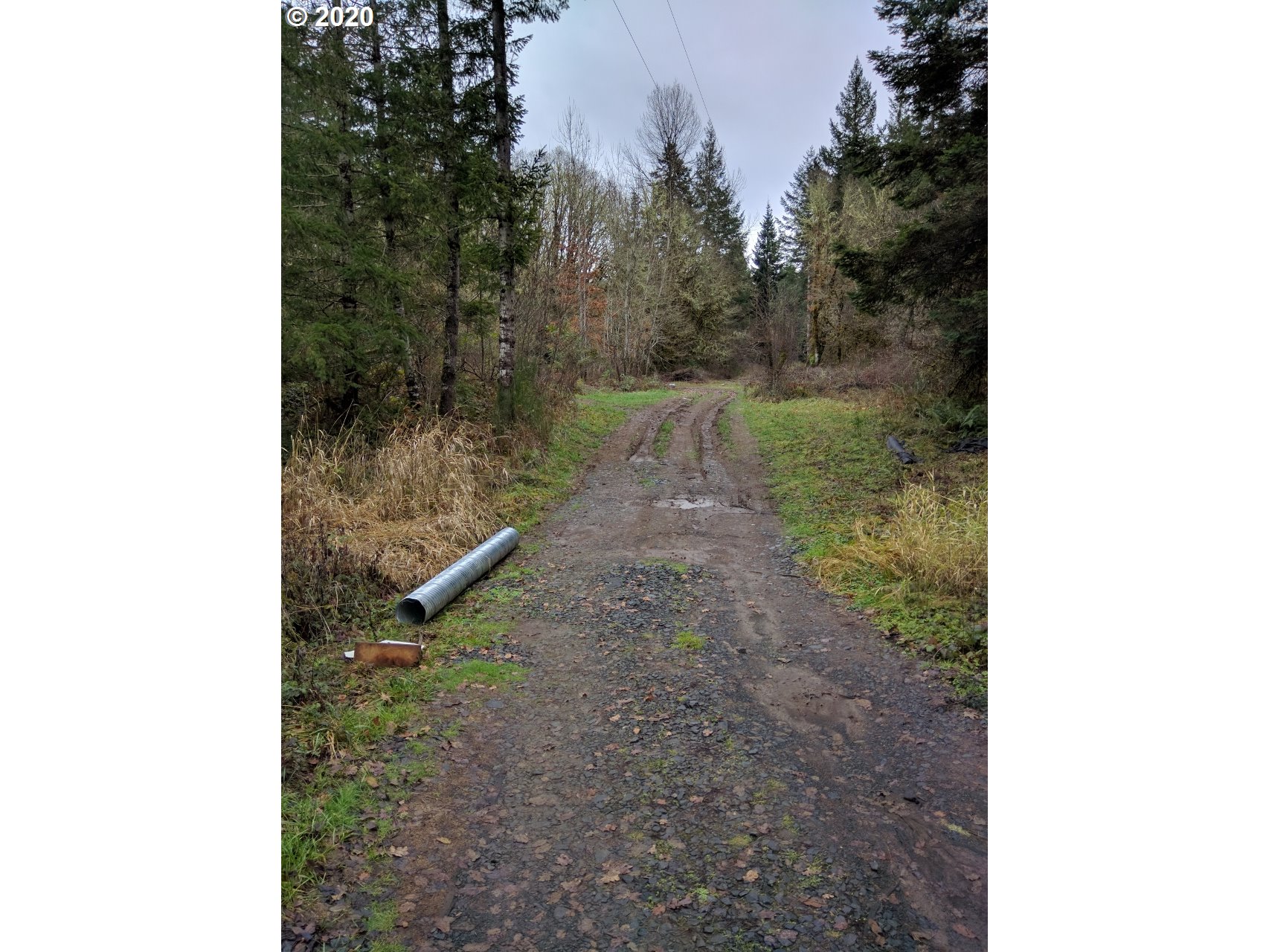 Carpenter Bypass Road, Unit 1000 Lorane, OR 97451 - Photo 3 of 11 Gallery Image 3