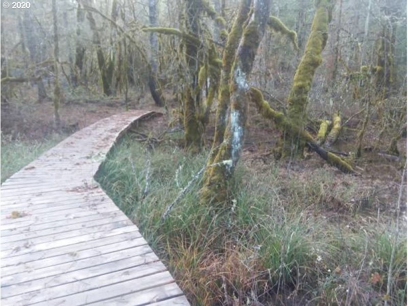 Carpenter Bypass Road, Unit 1000 Lorane, OR 97451 - Photo 4 of 11 Gallery Image 4