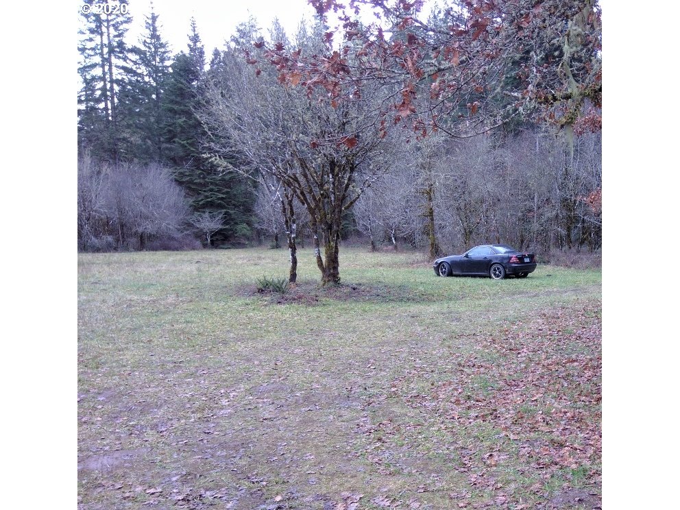 Carpenter Bypass Road, Unit 1000 Lorane, OR 97451 - Photo 5 of 11 Gallery Image 5