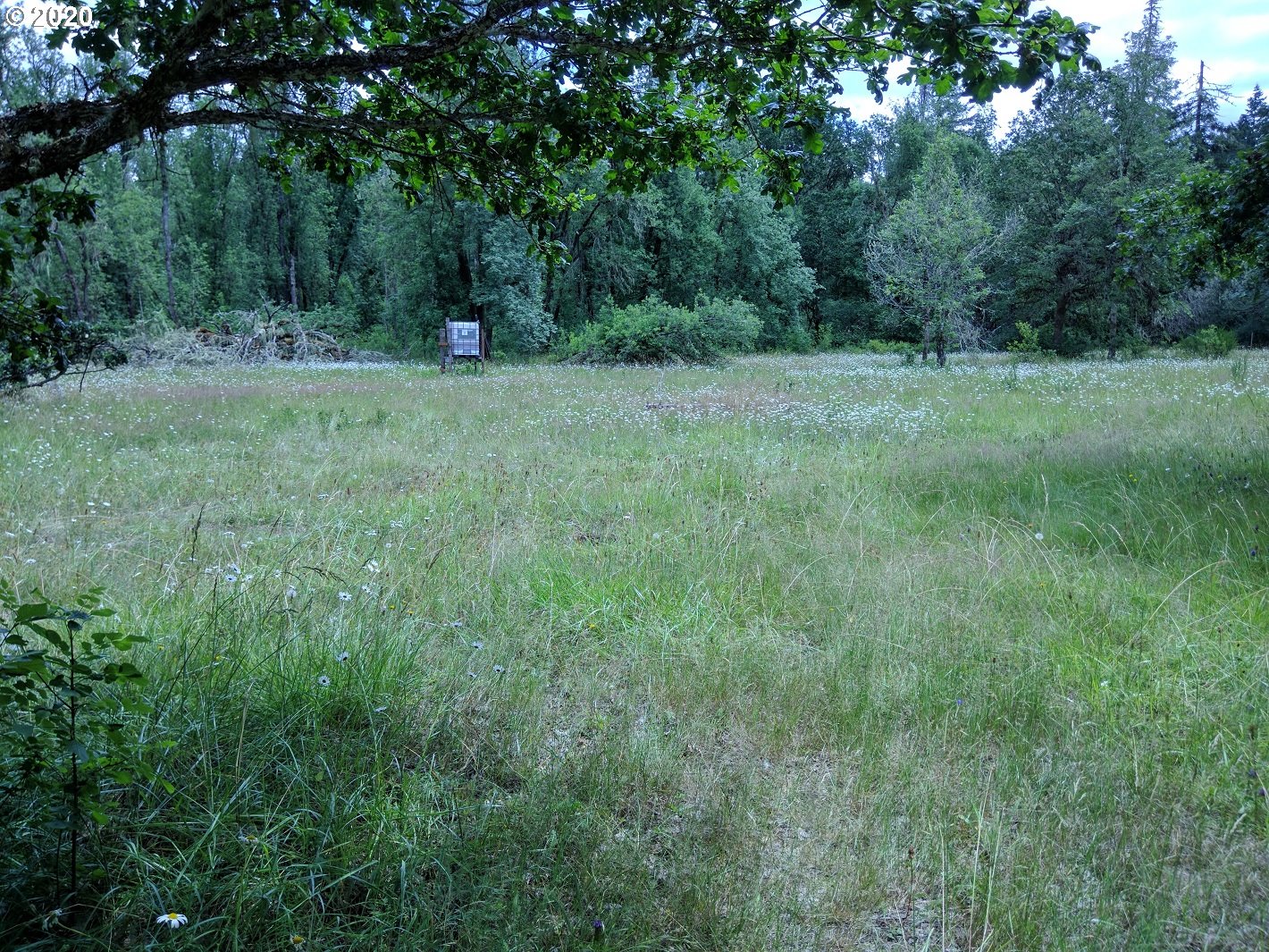 Carpenter Bypass Road, Unit 1000 Lorane, OR 97451 - Photo 6 of 11 Gallery Image 6