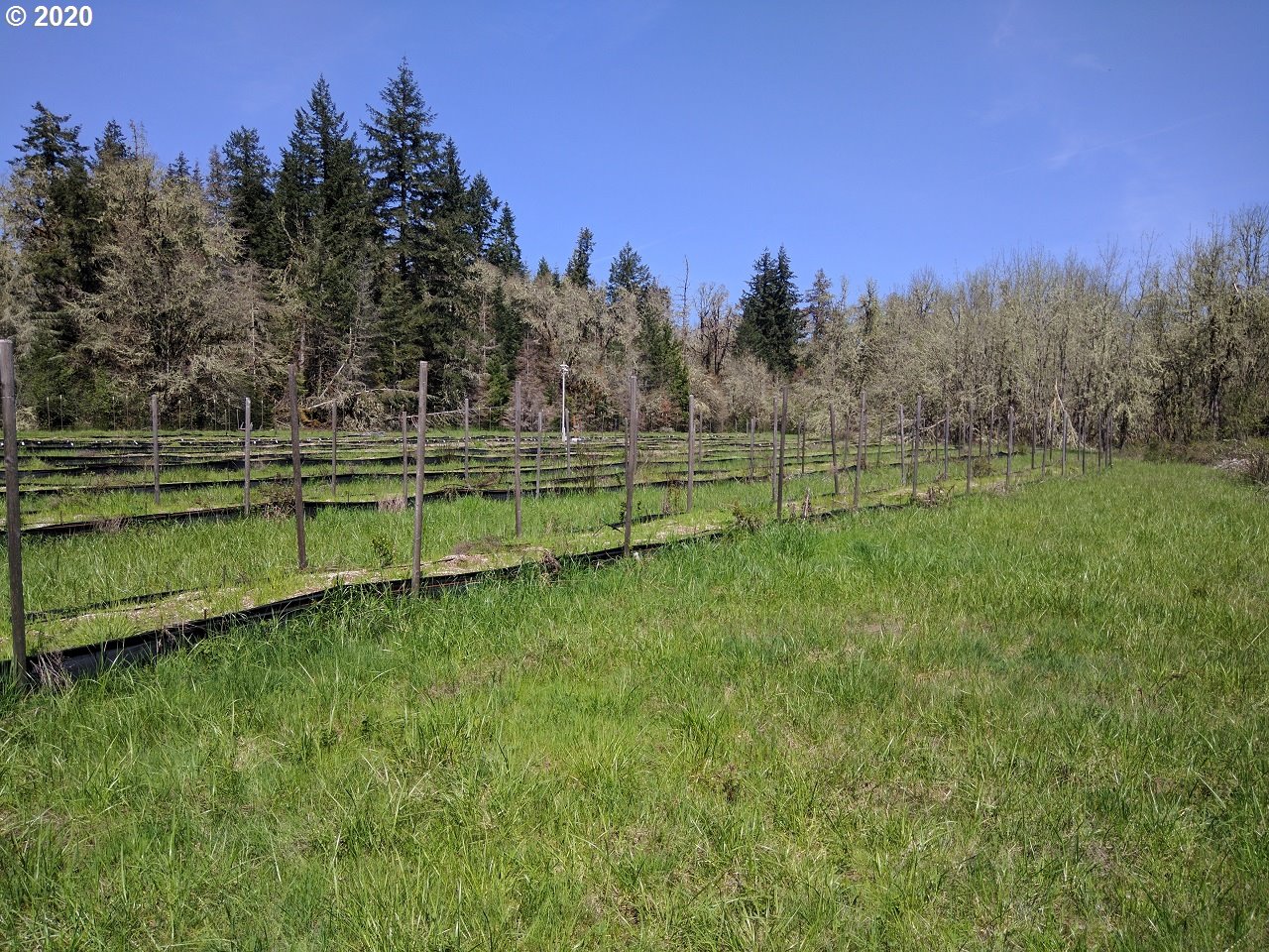 Carpenter Bypass Road, Unit 1000 Lorane, OR 97451 - Photo 8 of 11 Gallery Image 8