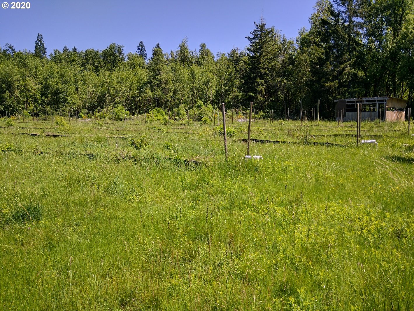 Carpenter Bypass Road, Unit 1000 Lorane, OR 97451 - Photo 9 of 11 Gallery Image 9